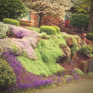 grass won't grow good on yard slope