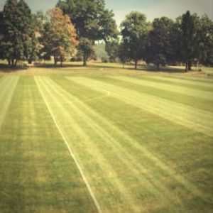 a quality lawn doesn't just happen, it requires lots of work