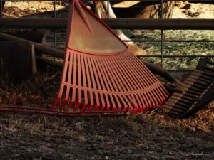 leaf rake