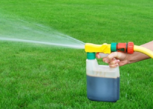 liquid lawn fertilizer