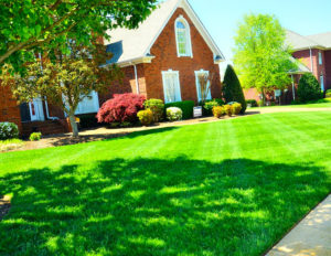 lawn-care-643561_960_720