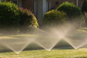lawn sprinkler