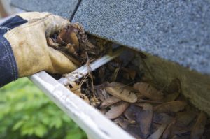 fall leaf gutter cleaning