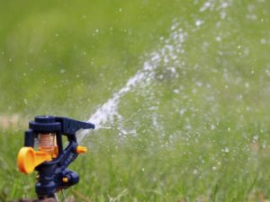 lawn-sprinkler