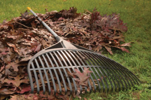 leaf-rake