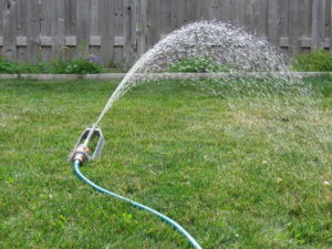 watering_lawn_with_sprinklers