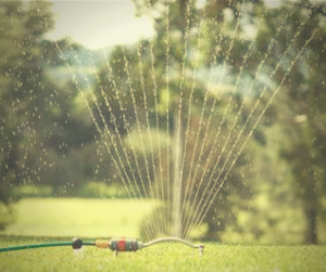 Irrigating Your Lawn Effectively