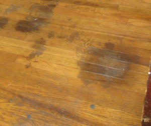 Pet stais mean repairing hardwood