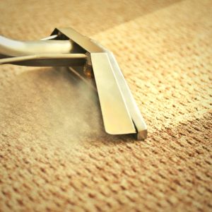deep cleaning carpets can make them look new