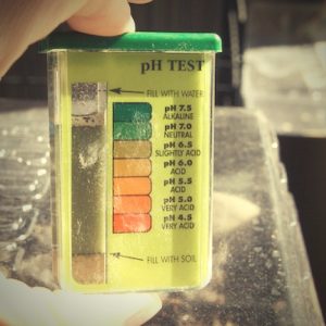 Checking soil ph