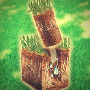 soil aeration
