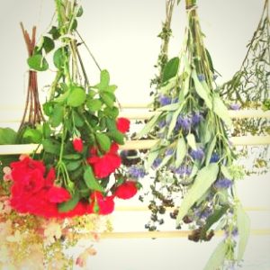 air drying flowers is an easy way to use them for crafts
