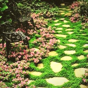 A beautiful walkway will enhance your landscape