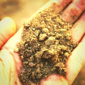Know how to prepare your garden soil