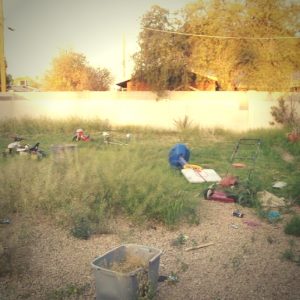 how to clean up your lawn