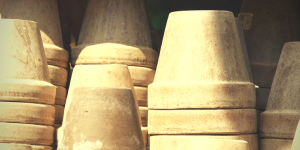 container gardening clay pots