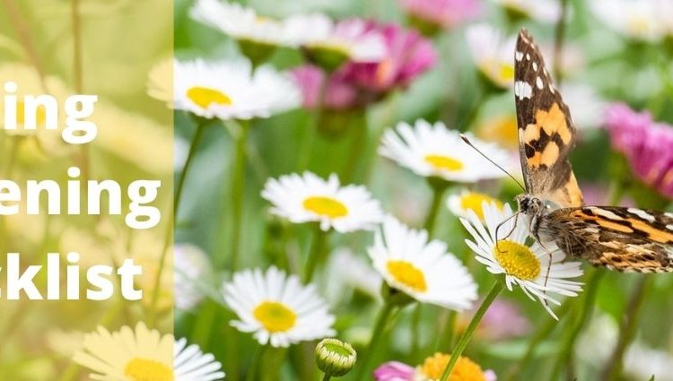 spring time planting